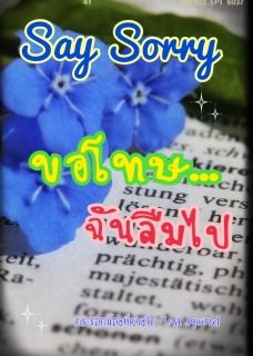 Say Sorry ขอโทษ...ฉันลืมไป