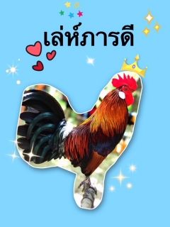 เล่ห์ภารดี