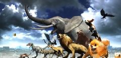 God of Animal