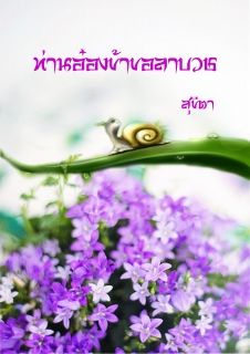 ท่านอ๋องข้าขอลาบวช (ฉบับอีบุ๊ค)