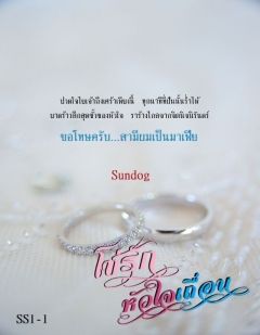 โซ่รักหัวใจเถื่อนเล่ม1 [ขอโทษครับ...สามีผมเป็นมาเฟีย]-จบแล้ว