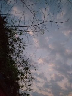 แผนพิชิตต่างโลกของพวกเรา