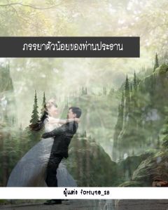 ภรรยาตัวน้อยของท่านประธาน ผู้แต่ง/fortune _28