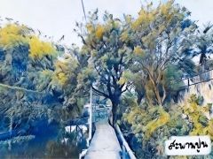 (YAOI) สะพานปูน (Pass to your voice)