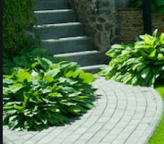 สวน (A garden) (ตอนเดียวจบ)