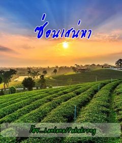 ซ่อนเสน่หา