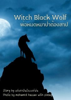 witch black wolf พ่อมดหมาป่าต้องสาป