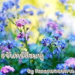 #วันจันทร์สีชมพู  จบแล้ว
