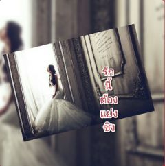 รักนี้ต้อง...แย่งชิง 