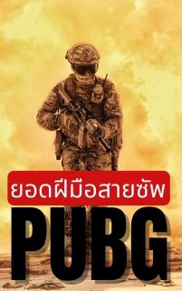 ยอดฝีมือสายซัพ PUBG