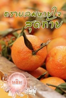 ตราบลมหายใจสุดท้าย