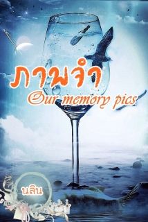 ภาพจำ Our memory pics