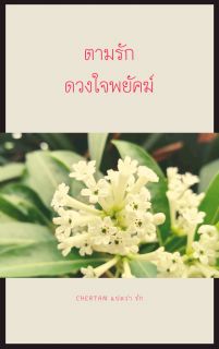 ตามรักดวงใจพยัคฆ์