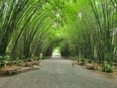 พิฆาตสวรรค์