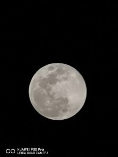 My Moon