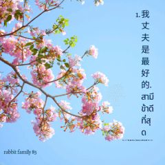 我丈夫是最好的 สามีข้าดีที่สุด
