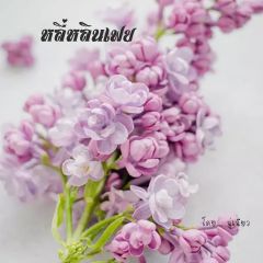 หลี่หลินเฟย