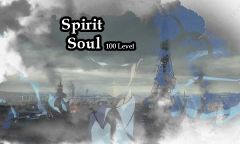  Spirit Soul 100 level