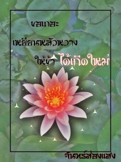 ขอเถอะเหยียนหลัวหวางให้ข้าได้เกิดใหม่