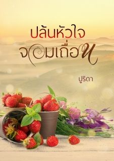 ปล้นหัวใจจอมเถื่อน