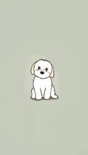 เรื่องวุ่นวายของเจ้าตูบ