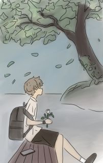 นวลลออ