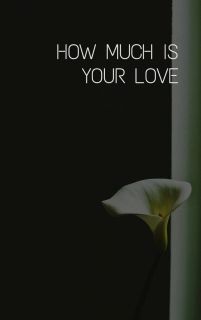 How much is your love