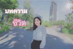 บทความชีวิต