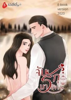 จับรักมาขังใจ(จบแล้วมีEbook)