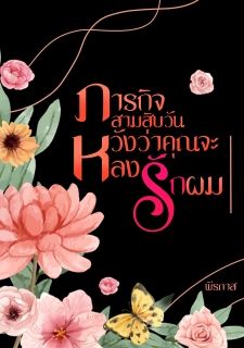 ภารกิจสามสิบวัน หวังว่าคุณจะหลงรักผม