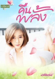 คืนพลั้ง