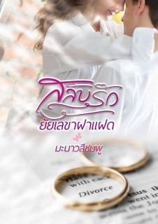 สลับรักยัยเลขาฝาแฝด (จบ)