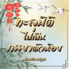 ทะลุมิติไปเป็นภรรยาตัวน้อย