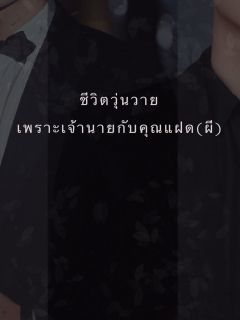 ชีวิตวุ่นวายเพราะเจ้านายกับคุณแฝด(ผี)