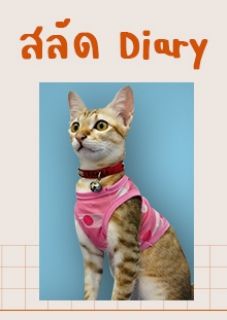 สลัด Diary