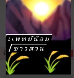 เเพทย์น้อยชาวสวน