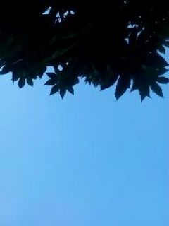 มืดมิตร