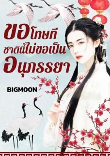 ขอโทษทีชาตินี้ไม่ขอเป็นอนุภรรยา