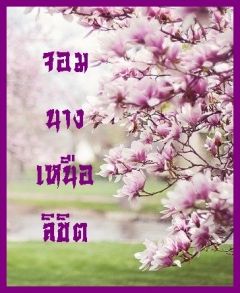 จอมนางเหนือลิขิต