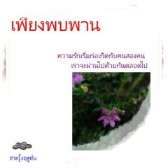 เพียงพบพาน