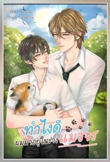 ทำไงดี ผมมาอยู่ในร่างแมวจร