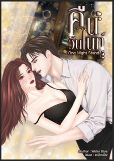 คืนวันไนท์ (One Night Stand)