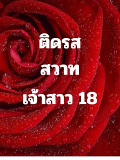 ติดรสสวาท เจ้าสาว18