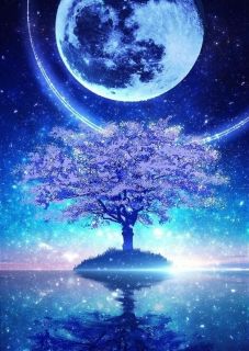 Magic Awakened : ปลุกพลังความสามารถ (อ่านฟรีทุก 2 วัน )