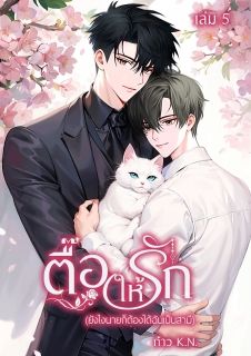 ตื๊อให้รัก (ยังไงนายก็ต้องได้ฉันเป็นสามี)... (มี E-book)