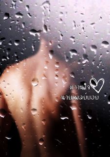 หวานใจนายเพลย์บอย