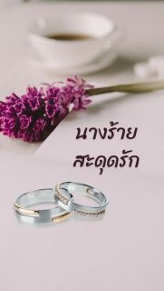 นางร้ายสะดุดรัก