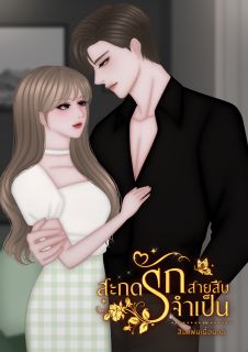 สะกดรัก สายสืบจำเป็น (จบแล้ว)