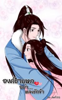องค์ชายหกอย่าหลงรักข้า