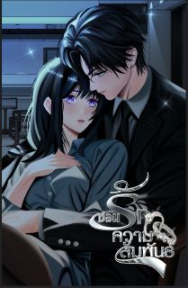 ซ่อนรักความสัมพันธ์ (E-Book)
